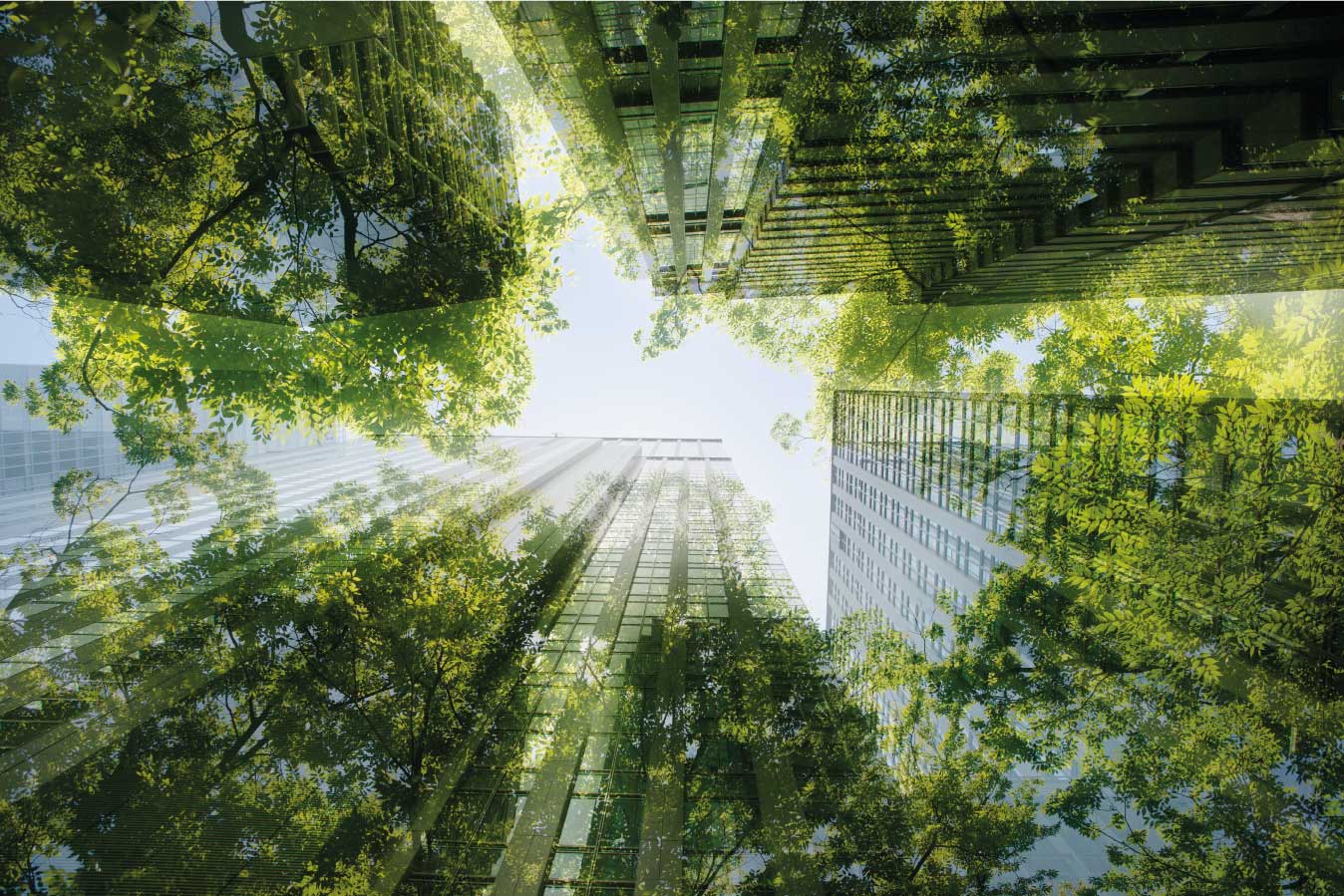 Sostenibilidad edificios ambiente