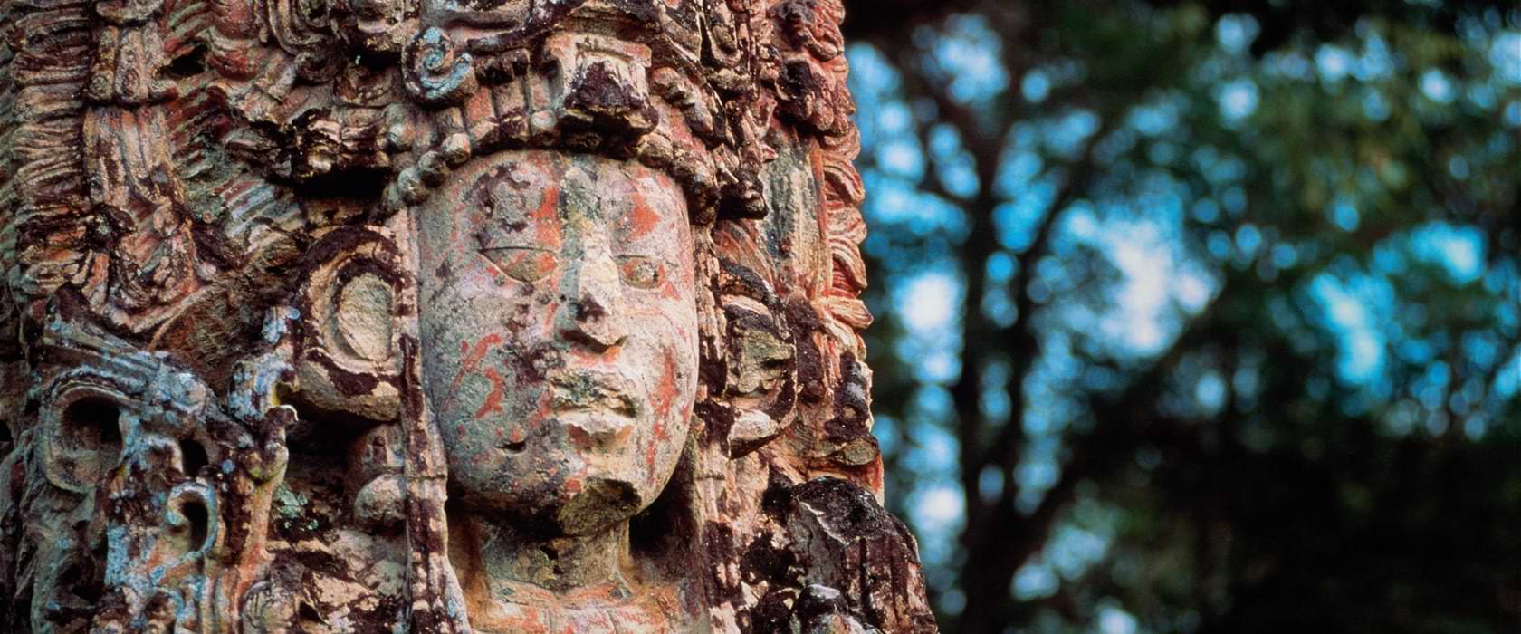 Rostro indígena tallado en árbol