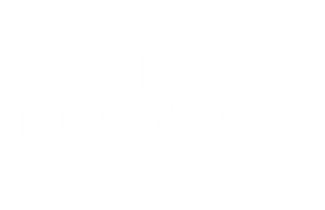 Logo de campaña Pyme Store, herramienta de BAC para gestionar negocios en linea y ventas digitales.