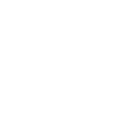 Logo de shop small