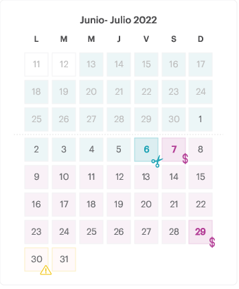 Grafico-fechas