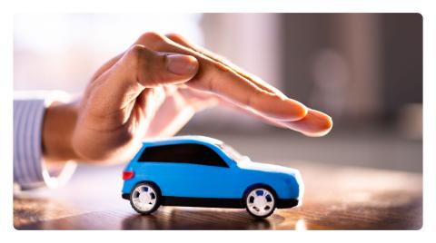 Transportes y Vehículos 