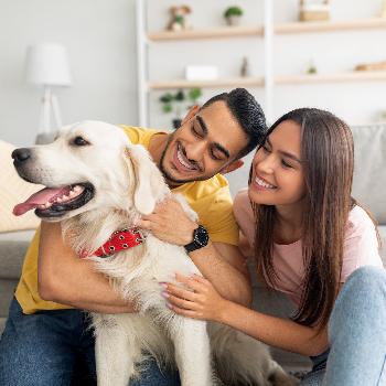Pareja con su mascota disfrutando su nuevo hogar adquirido con credito para vivienda de BAC