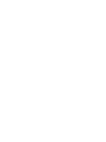 PALA BLANCA