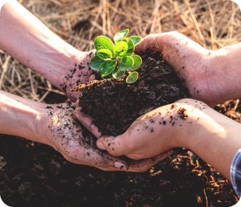 Categoría del concurso Pyme Positivo de BAC Costa Rica: Enfoque ambiental 