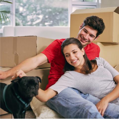 Vivienda nueva 