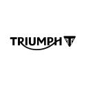 gt-logo-tirumph-babariamotors-autoexpo-131021 