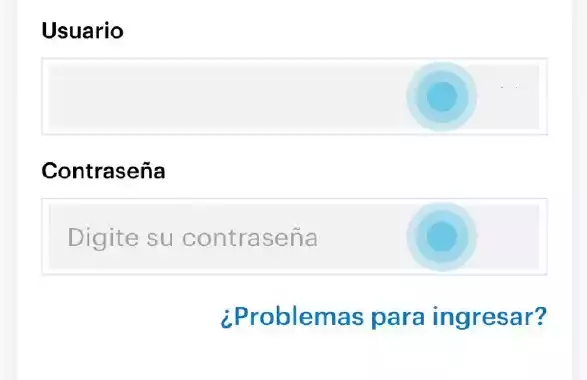 paso_1_consulta_de_saldos