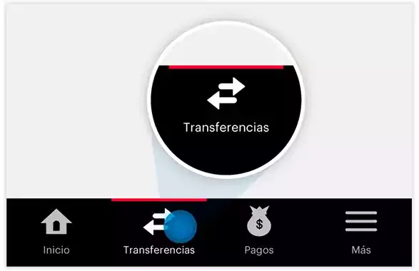 transflocal_1_1