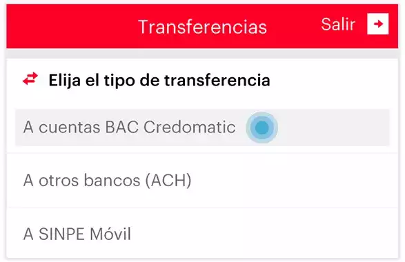 transflocal_2_1