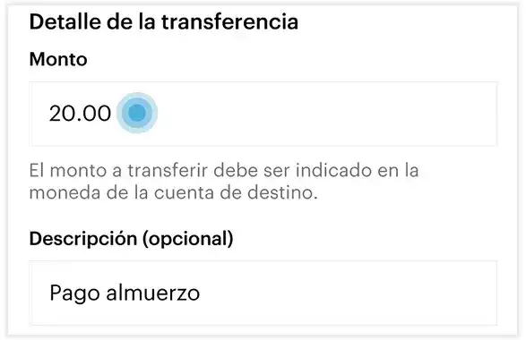 transflocal_5_1