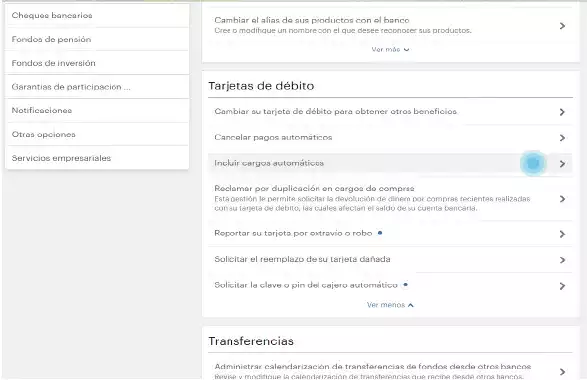 bacds-12636_imagenes_tutorial_cargo_automatico-03