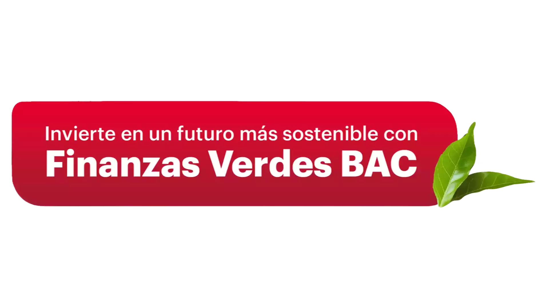 Icono