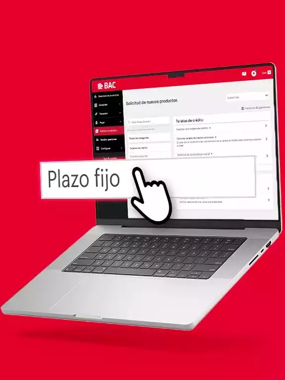 Plaz_Fijo_Web