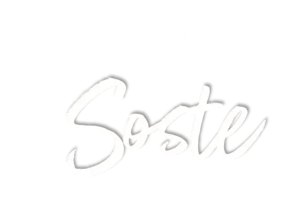 Vivi la soste con BAC y su reporte estrategico 2025