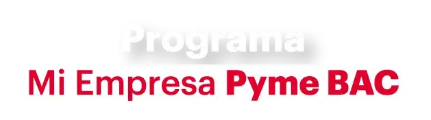 pyme programa