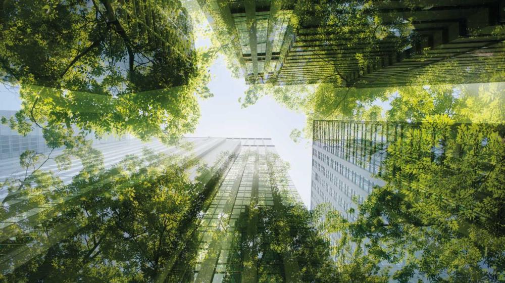 Sostenibilidad edificios ambiente