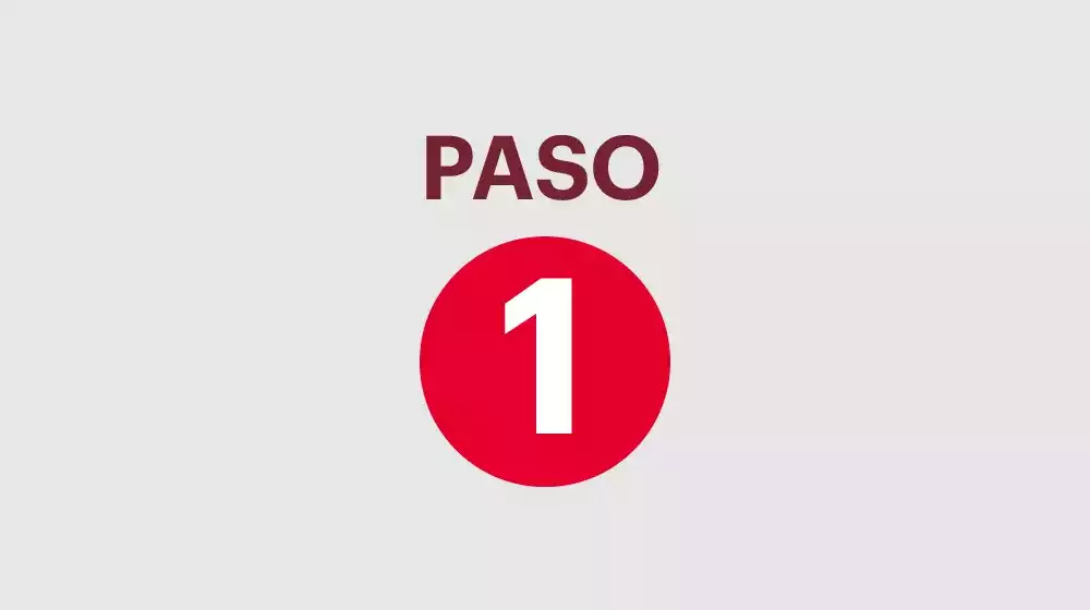 Paso 1 