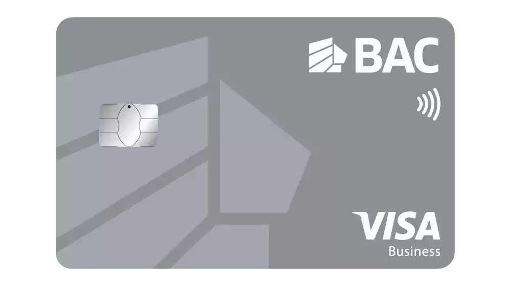 Tarjeta Visa Business