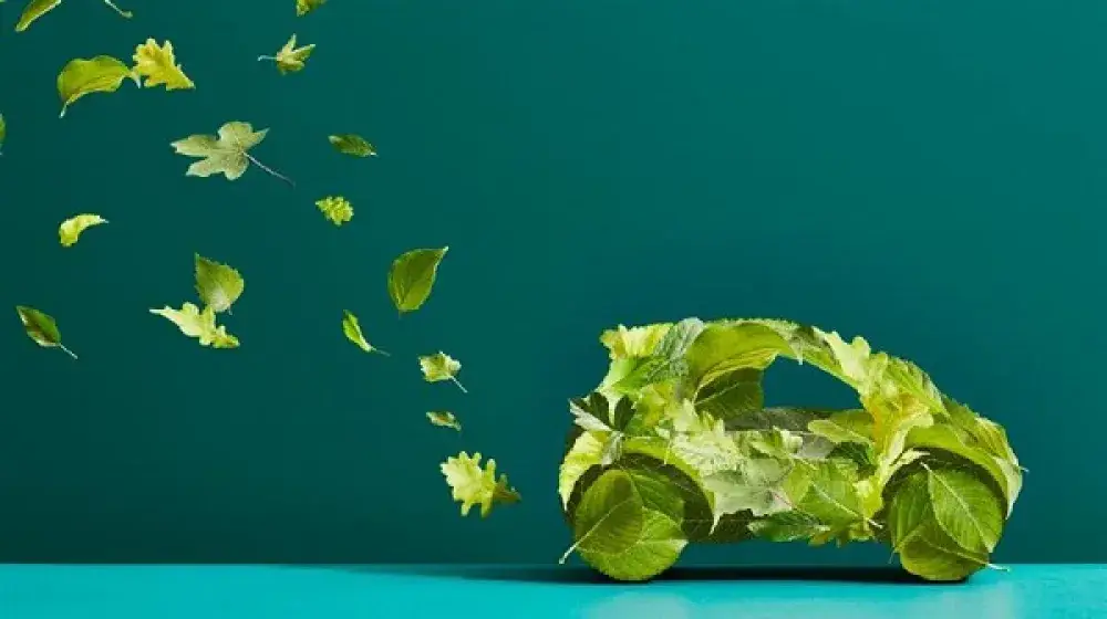 Marchamo ecológico