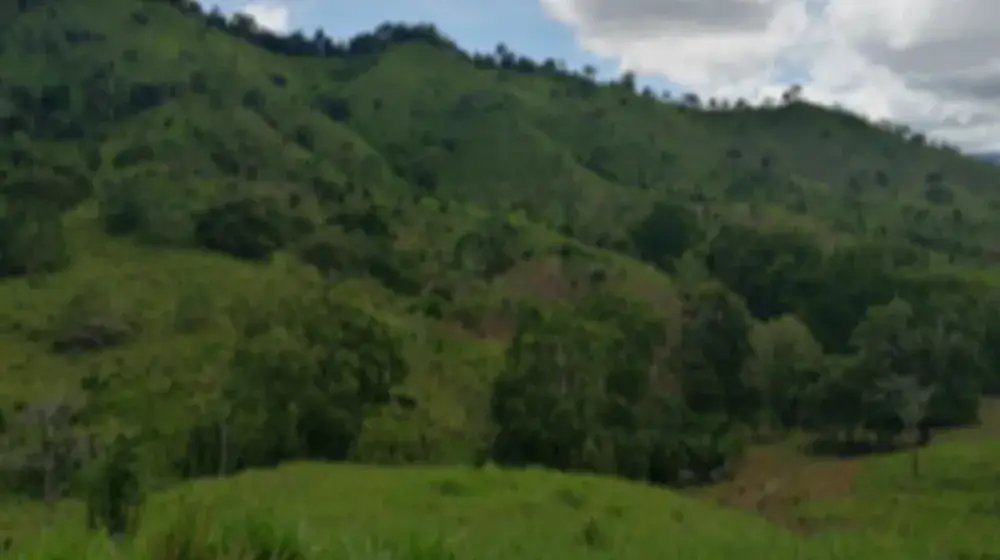 Terreno 