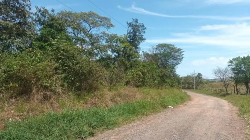 Terreno 1