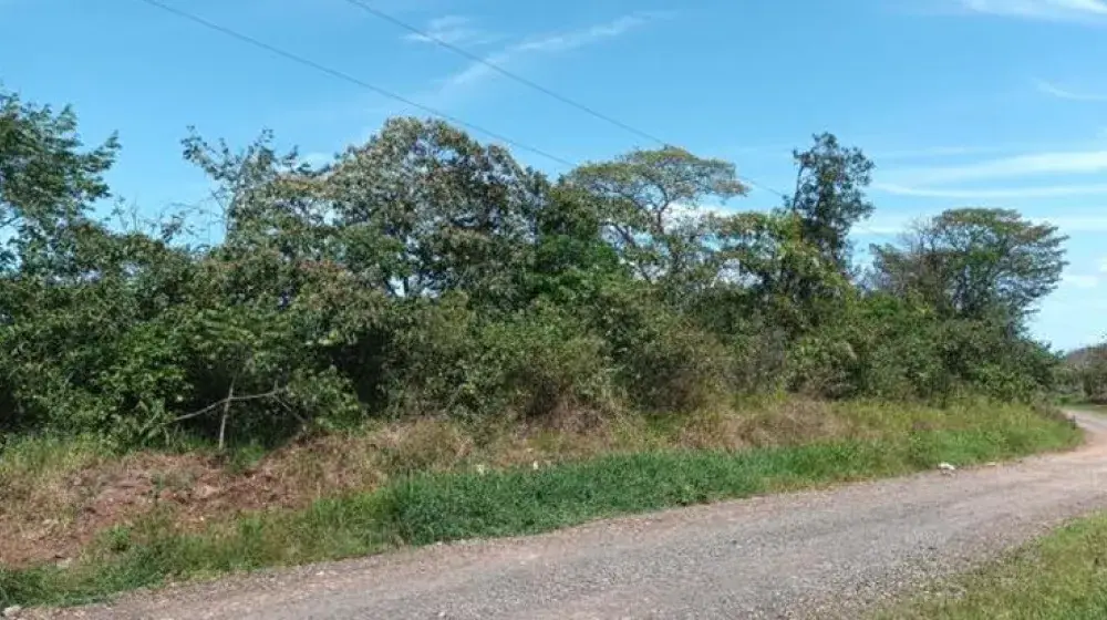 Terreno 2