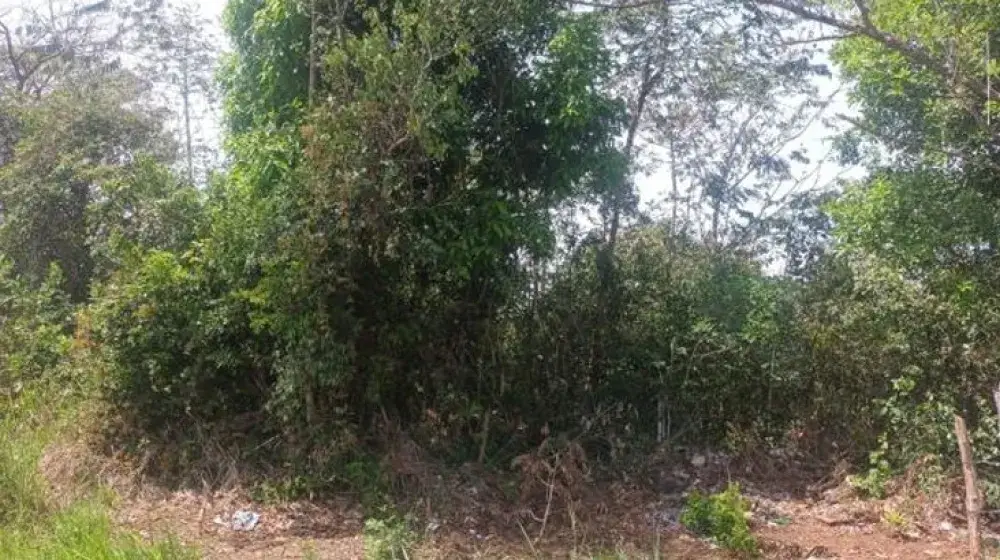 Terreno 4