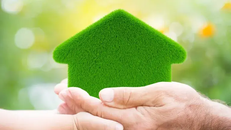 ECO PROPUESTAS (1)-min