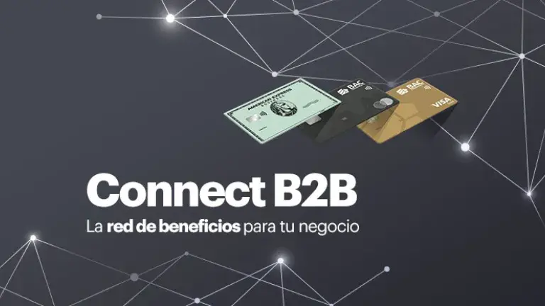 Connect B2B
