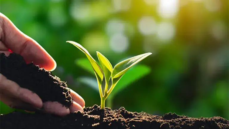 agricultura sostenible