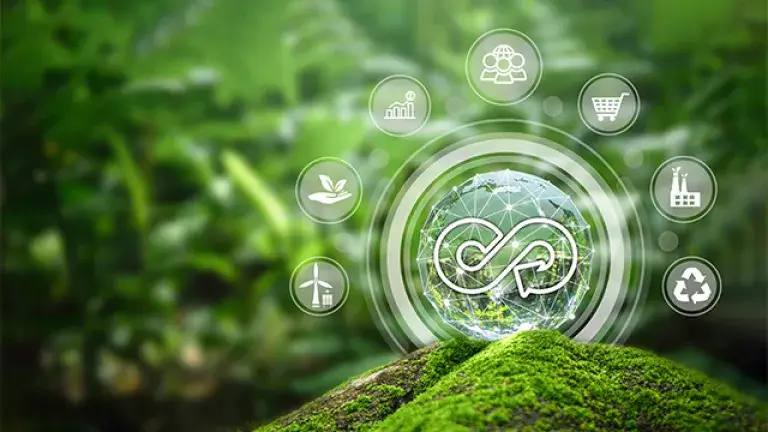 economia circular