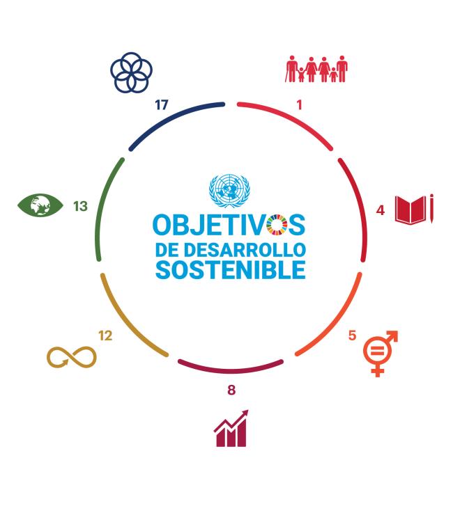 Infográfico circular de los objetivos de desarrollo sostenible de la ONU (1,4,5,8,12,13,17)