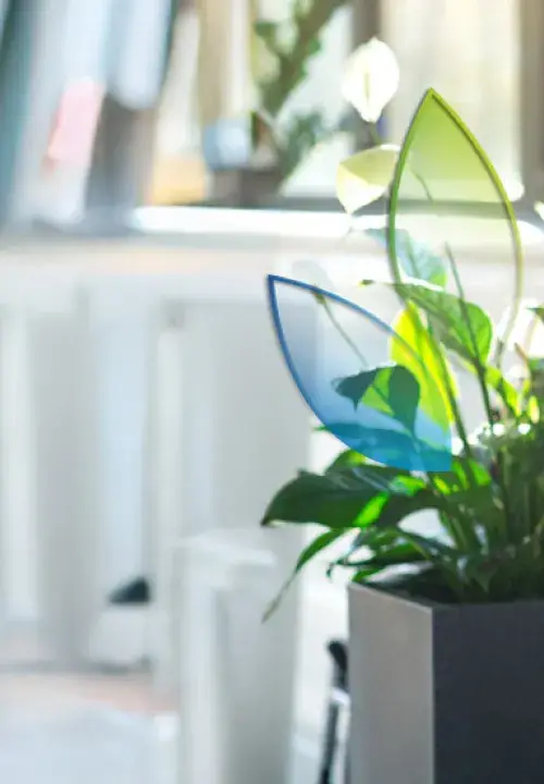 Gracias por acompañarnos